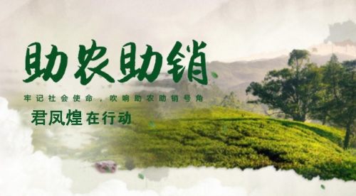 君凤煌直播助农推进农村电商快速发展(图1)