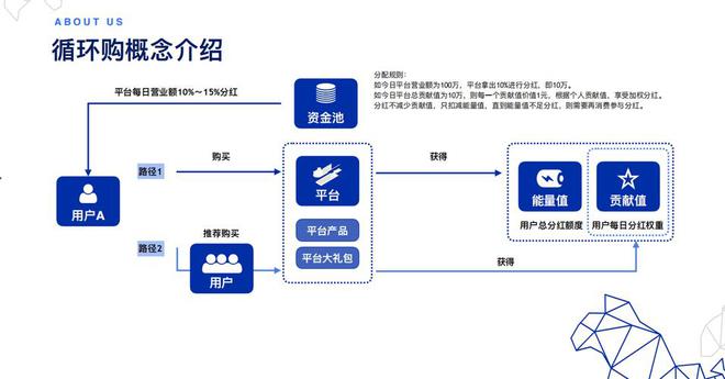 循环购模式：消费升级下的新型电商平台策略(图2)