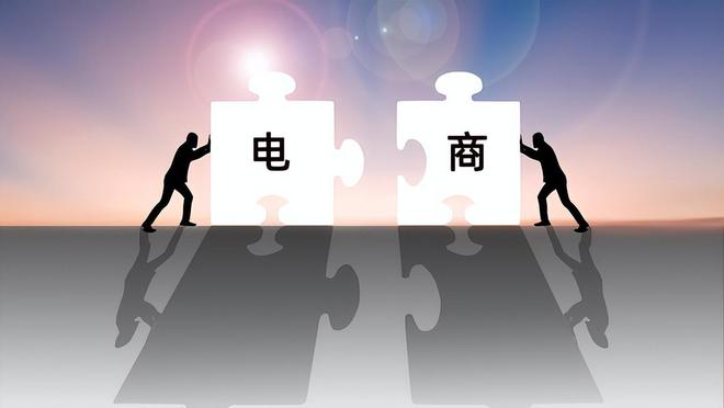 循环购模式：消费升级下的新型电商平台策略(图5)