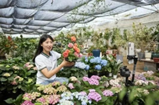 产业带实体经济转型焕新直播电商大有可为(图1)