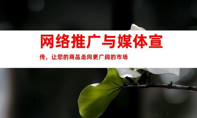 【助力商家热销】活动宣传营销通稿软文发布网络推广媒体宣传！(图2)