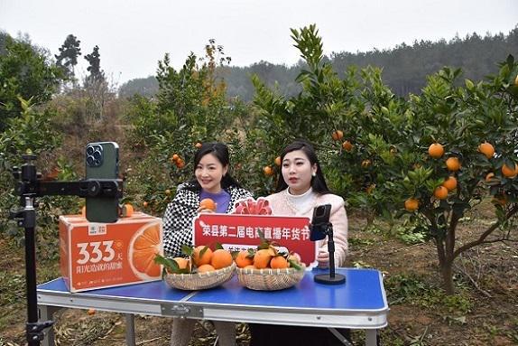 抓住机遇自贡荣县电商经济跑出“加速度”(图2)