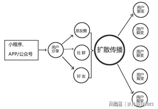 社交电商已经兴起普通人抓住这个趋势：提前布局抓住新机会(图5)