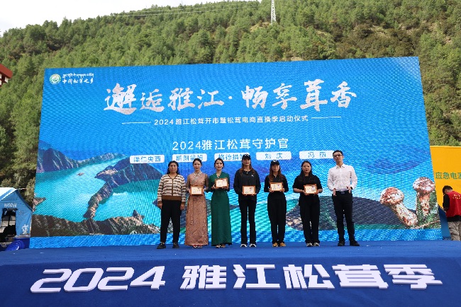 2024雅江松茸开市暨松茸电商直播季启动(图1)