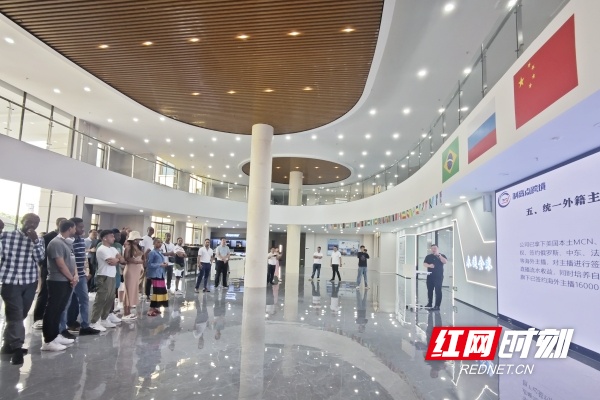 永州陆港跨境电商中心正式运营迎来首批非洲客人(图1)