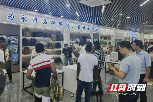 永州陆港跨境电商中心正式运营迎来首批非洲客人(图4)