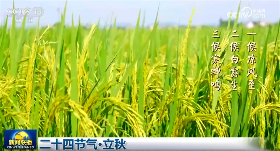 多领域不断积聚“稳”的定力和“进”的底气中国式现代化步履坚实(图10)
