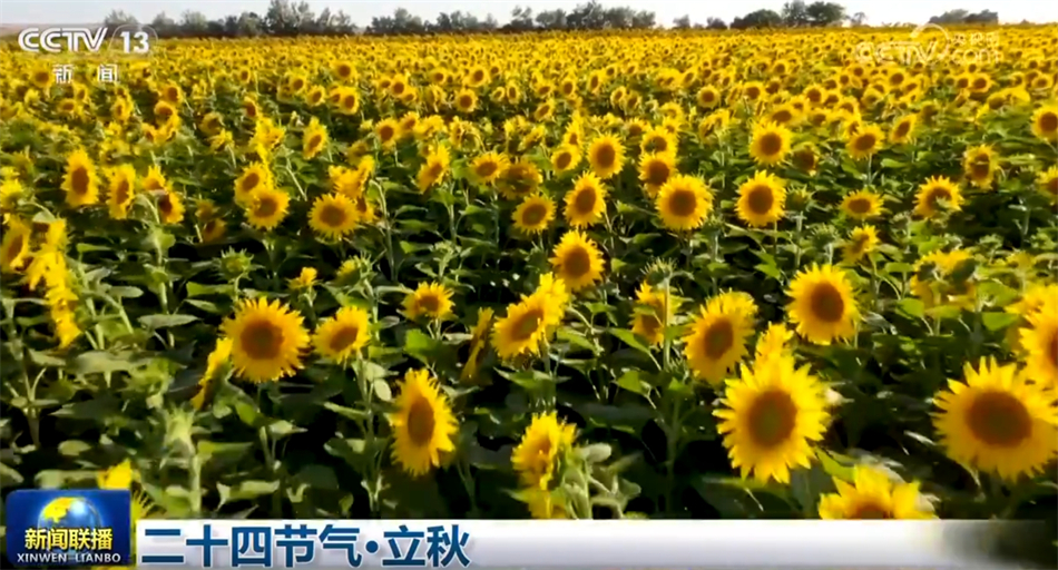 多领域不断积聚“稳”的定力和“进”的底气中国式现代化步履坚实(图9)