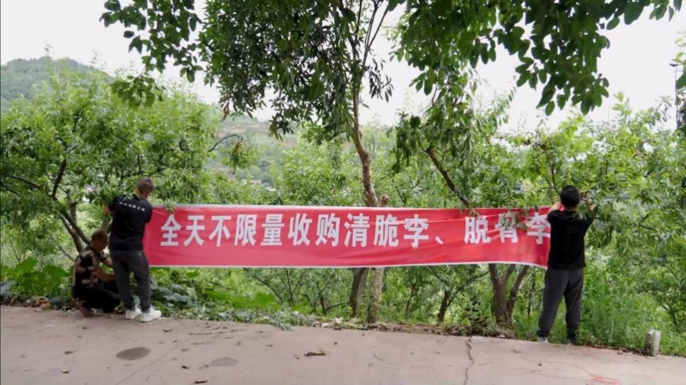 新电商如何“潮”出屏幕“焕”活市场？(图1)