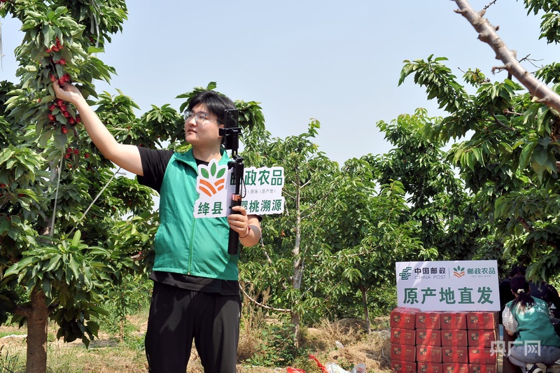 打通樱桃销售全流程山西邮政助力果农增收致富(图3)