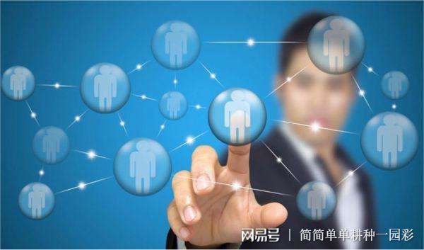 电商做什么行业好(图1)