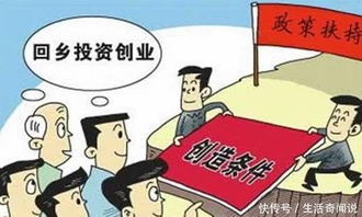 什么项目好挣钱(图1)
