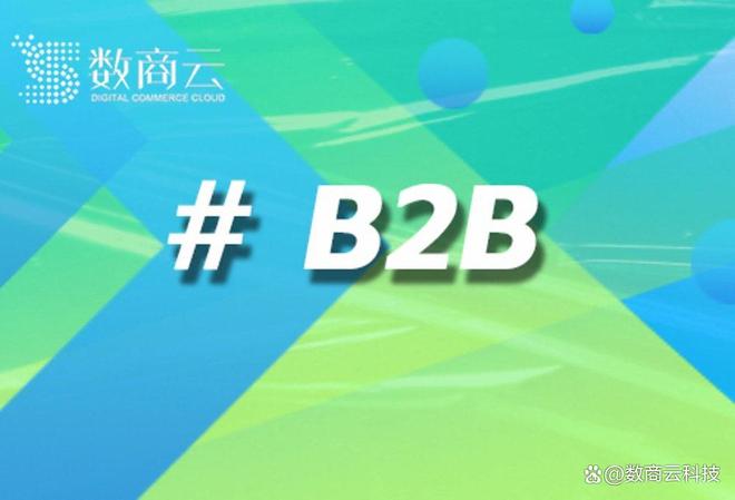 B2B电商系统选型、落地与风险应对全解答(图1)