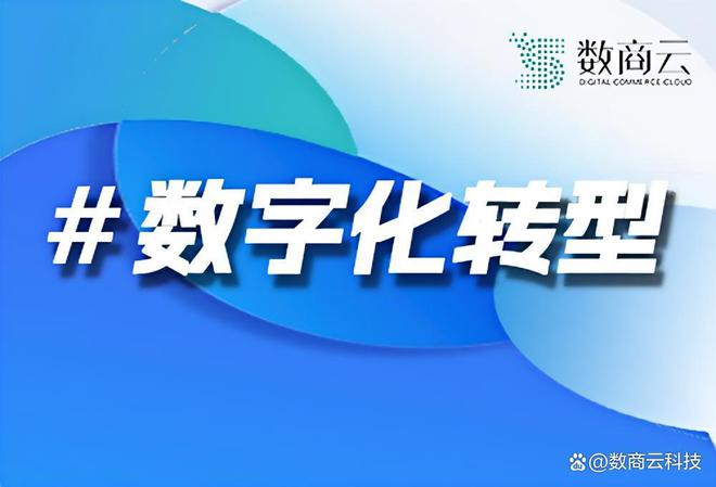 2025年B2B电商十大战略趋势：企业转型升级必读指南｜数商云(图1)