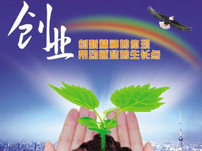 村里创业做什么项目赚钱(图1)